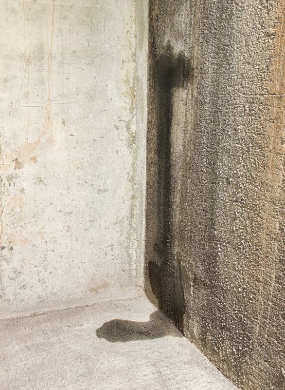 Leaking Basement Repair in Birmingham, AL